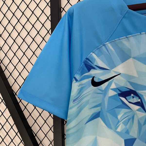 Netherlands 25/26 Special Edition Lion Kit - Image 8